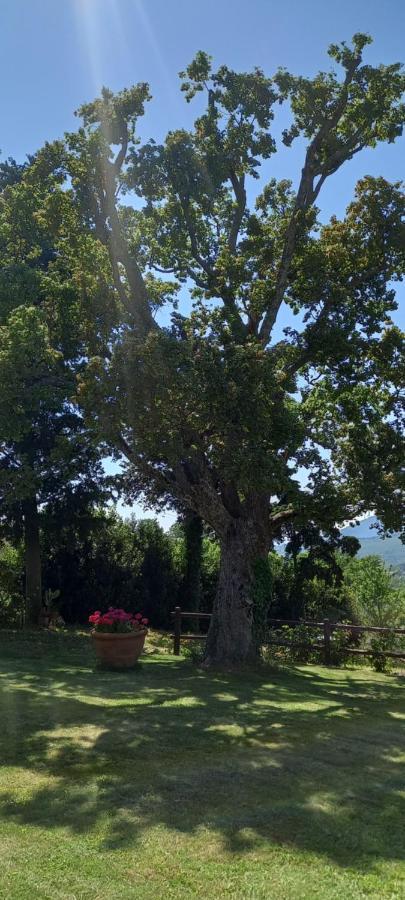 Hotel Poggio Al Sole Fiesole Exterior foto